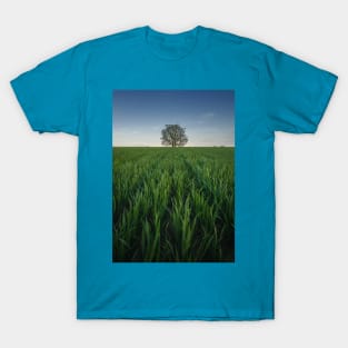 Solitary tree in the green field T-Shirt